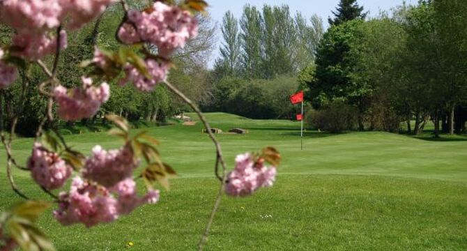 Hole 15